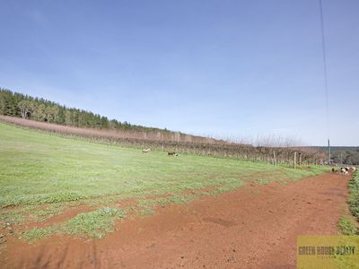 Lot 3 Pinjarra-Williams Road, Dwellingup