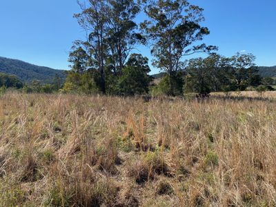 427 Shaws Road, Hollisdale