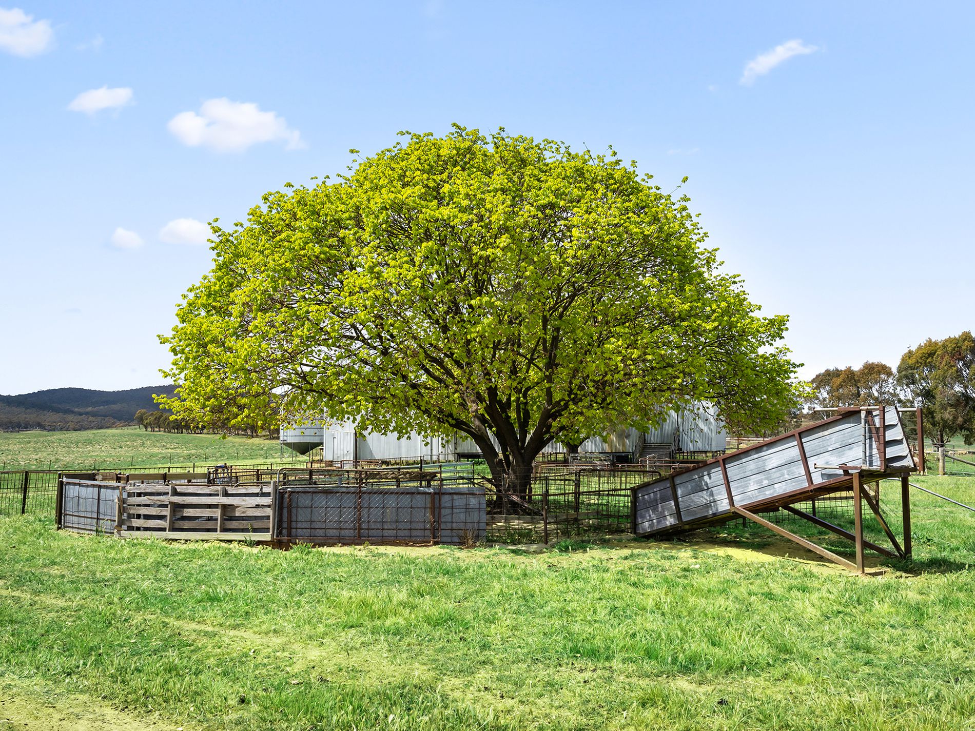 1444 Hoskinstown Road, Hoskinstown