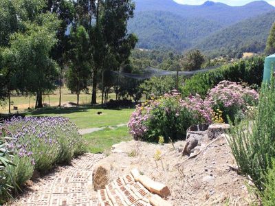 95 Misty Hill Road, Mountain River
