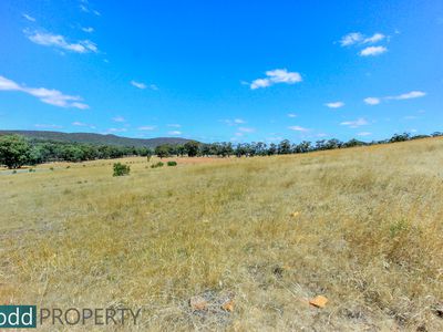 Lot 3, 58 Drummonds Lane, Heathcote