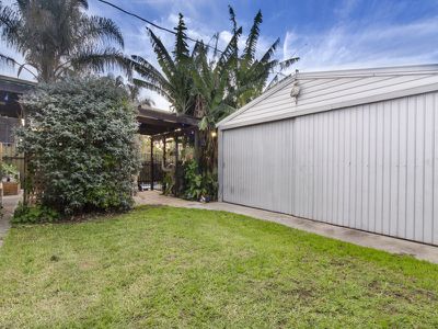 62 Dingera Street, North Plympton