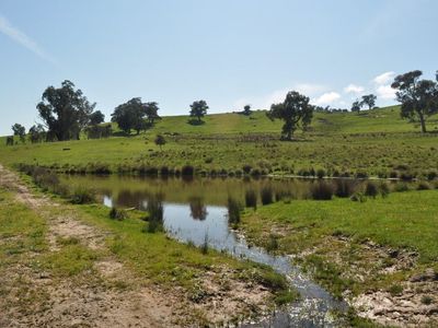 . Tomkins Lane, Allans Flat