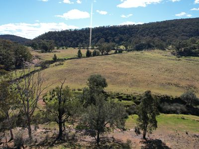 1950 FLAGGS ROAD, Gungal