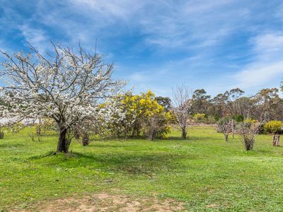 175 Chamberlain Road, Heathcote