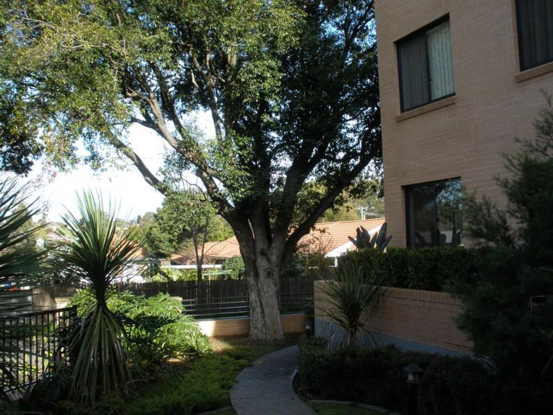 30 / 23-33 Napier Street, Parramatta