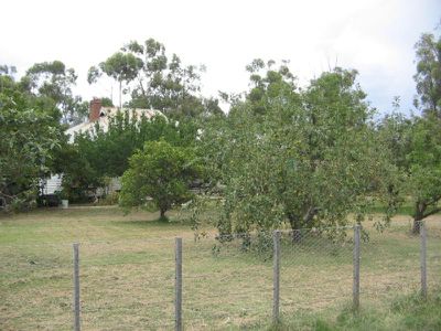 Macorna