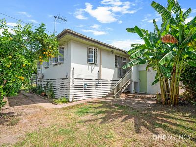 33 Bamboo Street, Inala