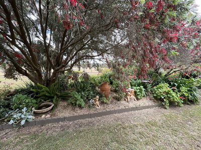 83A Newbold Street, Wedderburn