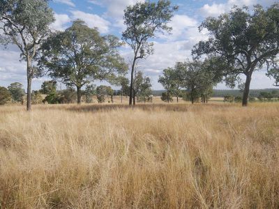 Lot 1, Weens Road, Kingaroy