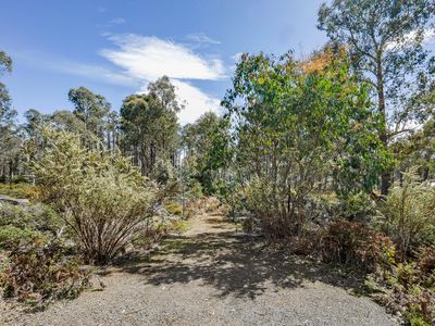 22 Arthurs Lake Road, Wilburville