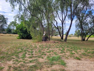 lot 402 Hoy Rd, Willows