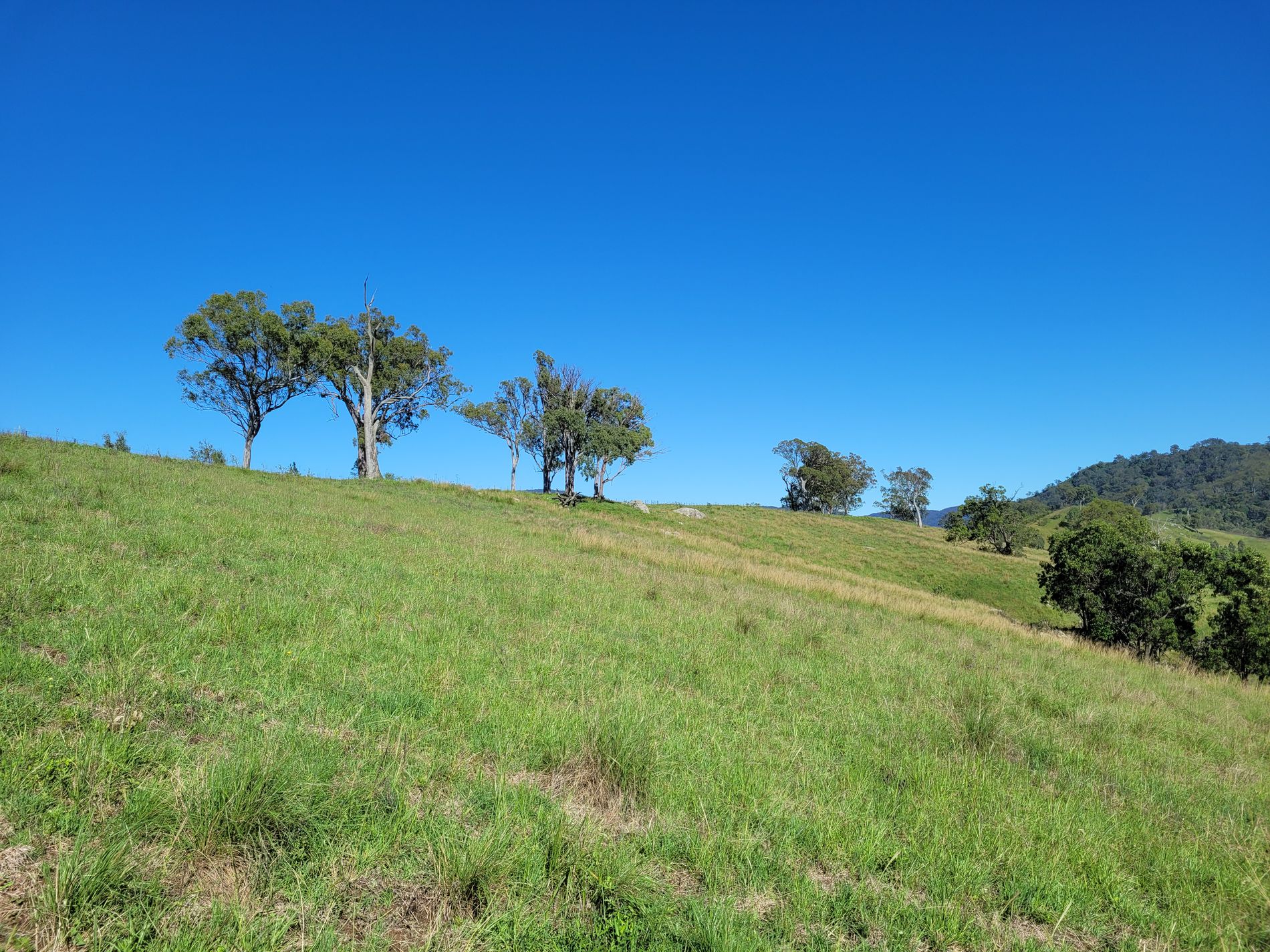 552 Neringla Road, Neringla