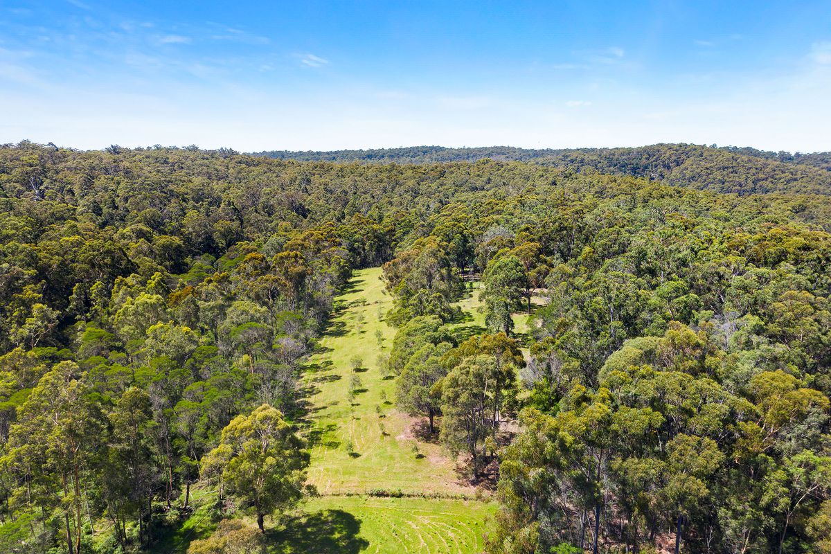 1232 Wagonga Scenic Drive, Kianga