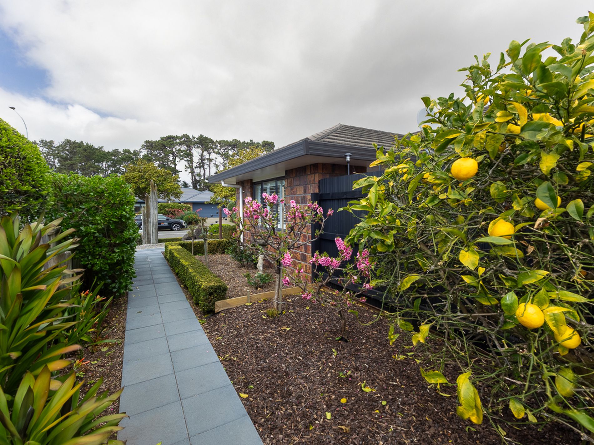2 Jeannie Way, Waikanae Beach