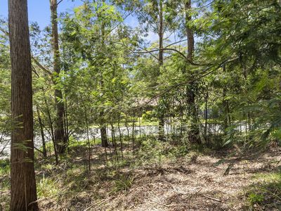 55 Leo Drive, Narrawallee