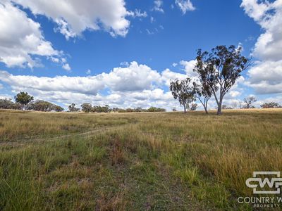 1925 Nullamanna Road, Nullamanna