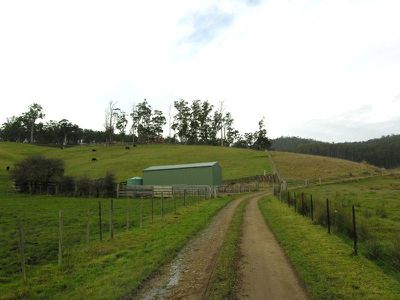 Brown Road, Lower Wattle Grove