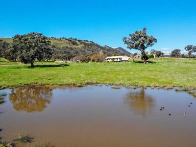 68 Merinda Way, Mansfield