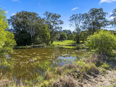 1512 Louis Bazzo Drive, Cootharaba