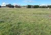 238 Forest Reefs Road, Millthorpe