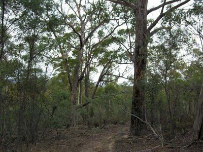 Ellendale Road, Westerway