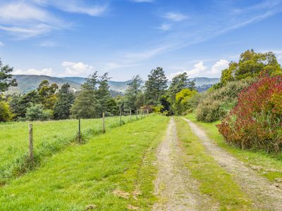 351 Golden Valley Road, Cygnet