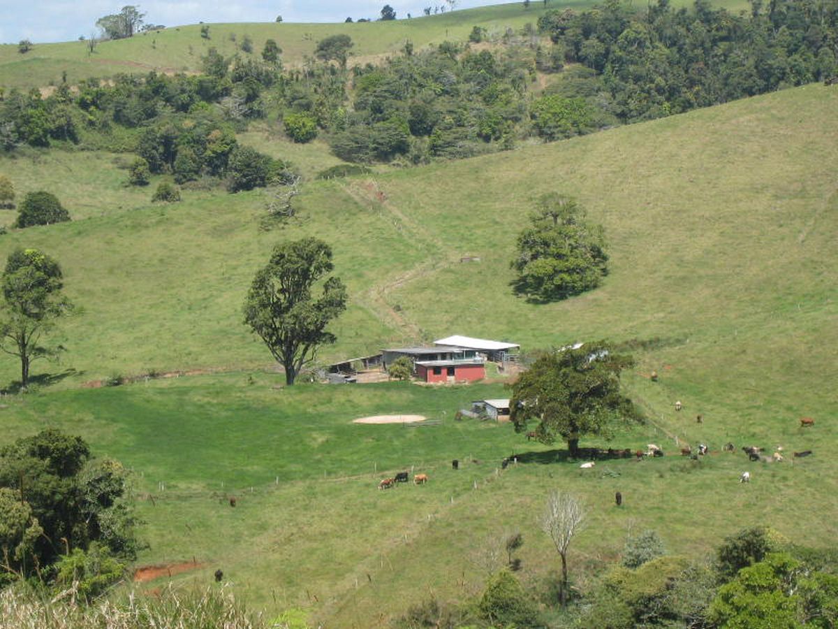 Millaa Millaa