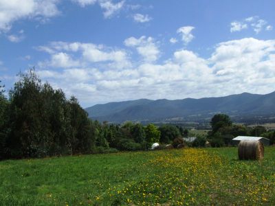 Lot 11, Fiddleback Drive, Tawonga South