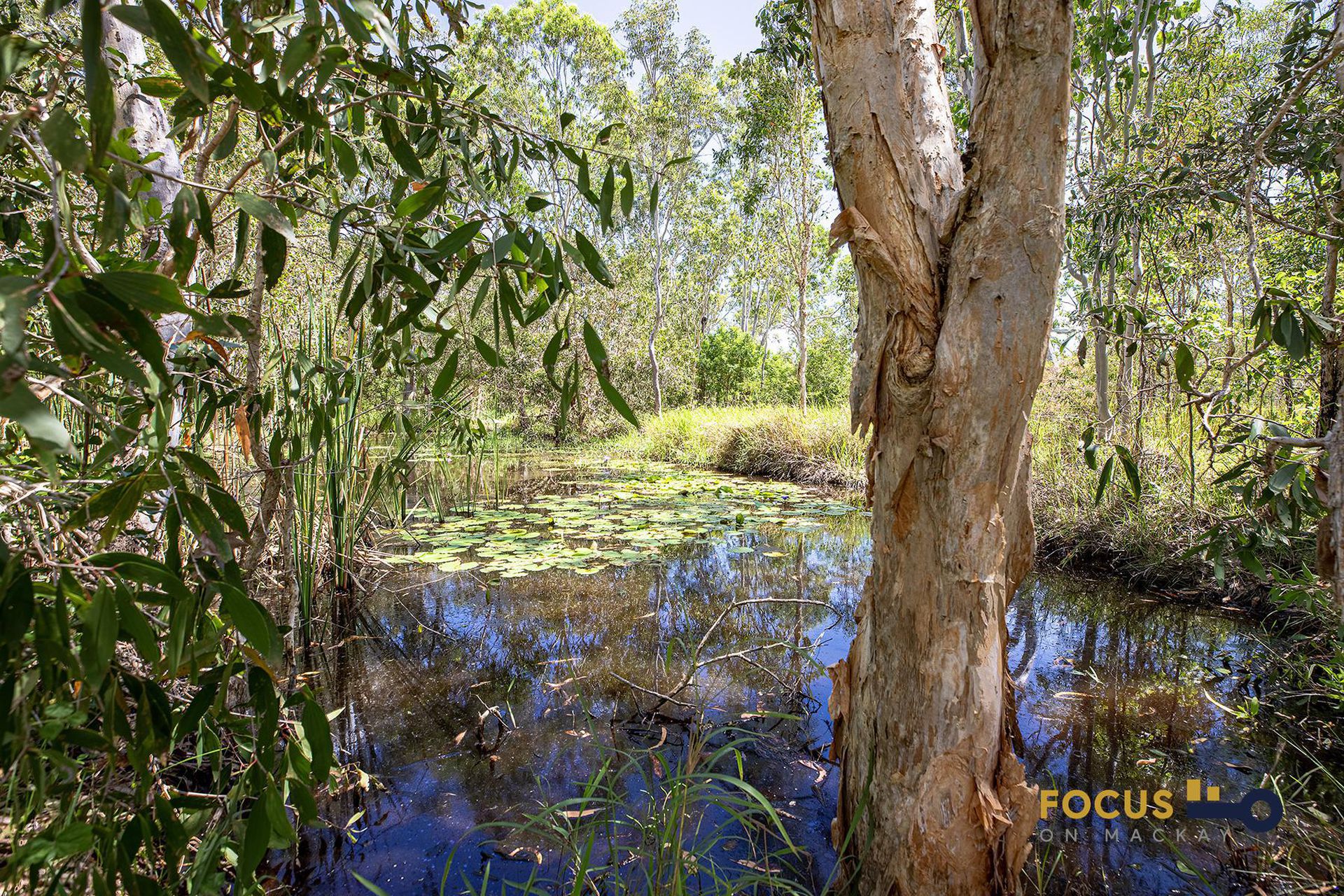 821 Greenhill Rd, Ilbilbie