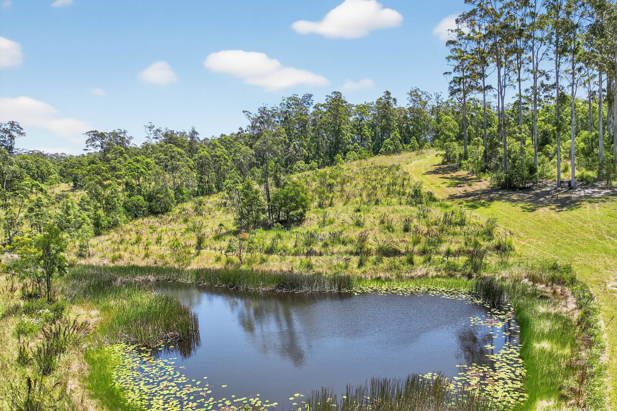 322 Hubbards Road North, Topi Topi