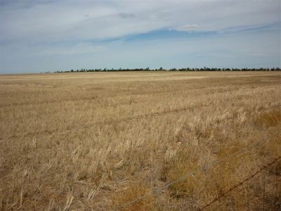 Lot 2 Brikkle Road, Brim