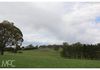 38 Offner Road, Orange