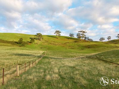 260 & 310 Mt William Road, Goldie