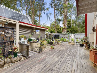 13 Rainforest Court, Boreen Point