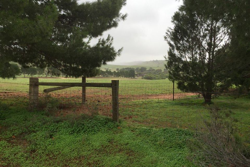 Palmer CE Property Group