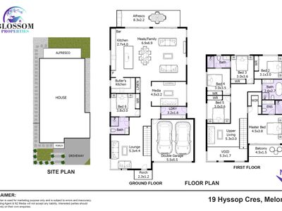 19 Hyssop Crescent, Marsden Park