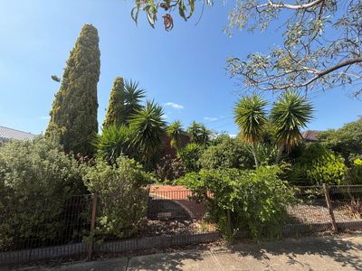 28 Tamarind Crescent, Werribee