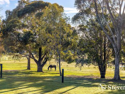 32 Mt William Road, Goldie