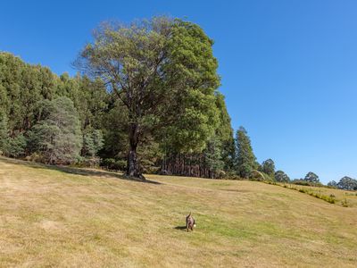 376 Watsons Road, Glen Huon