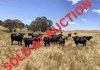 Lot 101 Strathmore Lane, Molong
