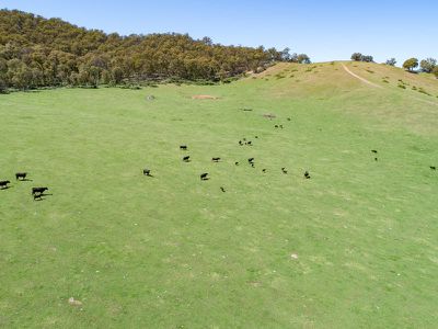 Lot 1 & 2 Bullhead Road, Mitta Mitta