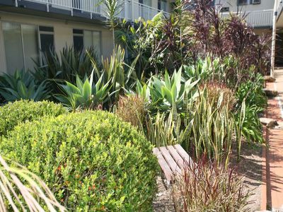 16 / 19 Forbes (entrance On Plunkett St Off Burke St) Street, Woolloomooloo