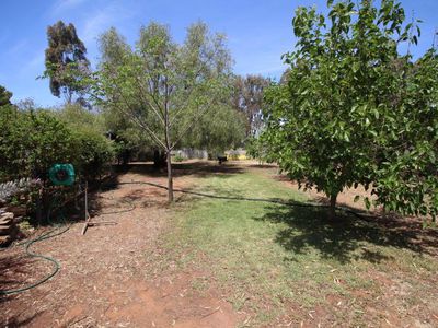 9 Lachlan Street, Boree Creek