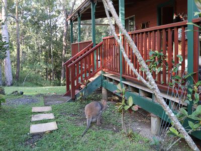 7 / 1157 Stony Chute Road, Nimbin