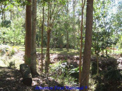 Herberton