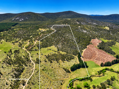 Lot 208 Foggy Forest Drive, Anembo