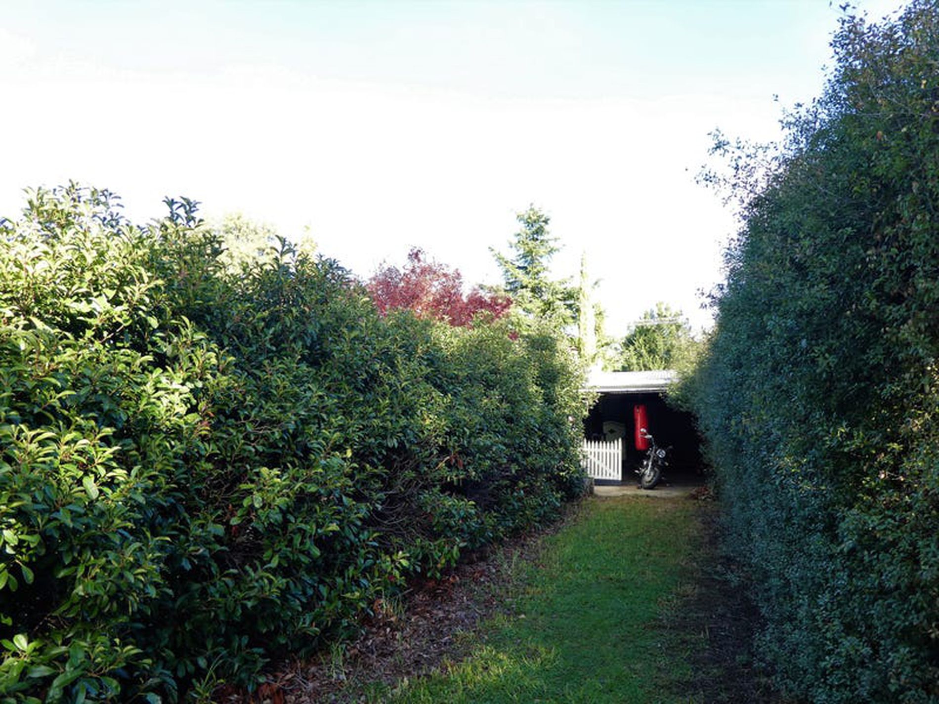 39 Shelton St, Avenel