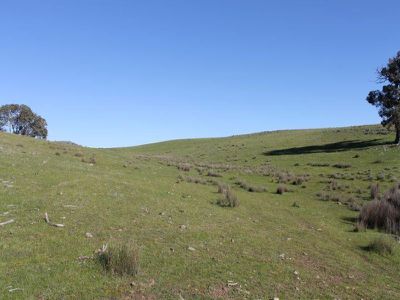 345 Hardings Lane, Tooborac