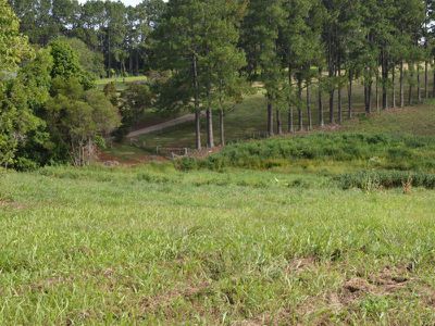 62 Burgess Avenue, Maleny
